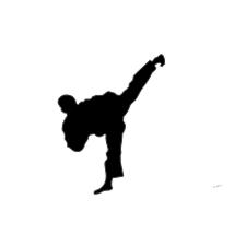 Ski tkd klubb / Vinterleier